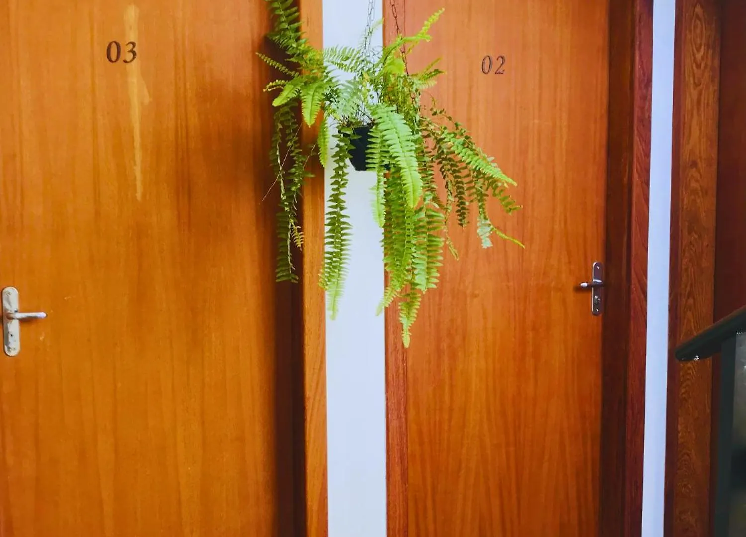 Quarto em Acomodações Particulares Pousada Nova Trilha Palhoça